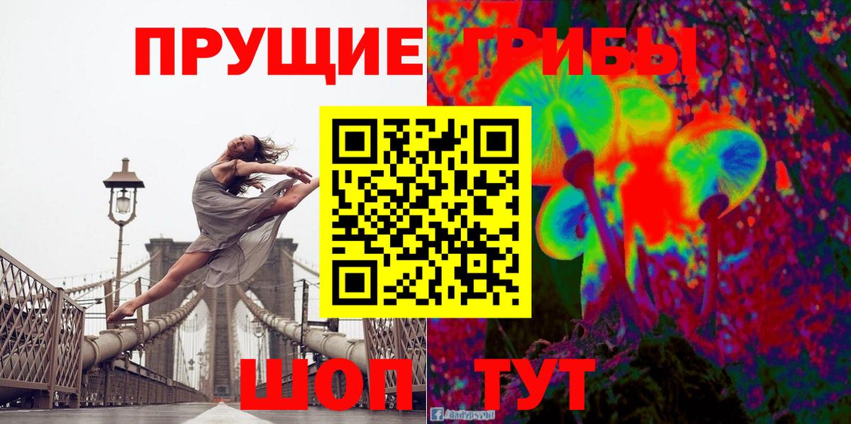 Галлюциногенные грибы прущие грибы  Вход с VPN  Дальнегорск 
