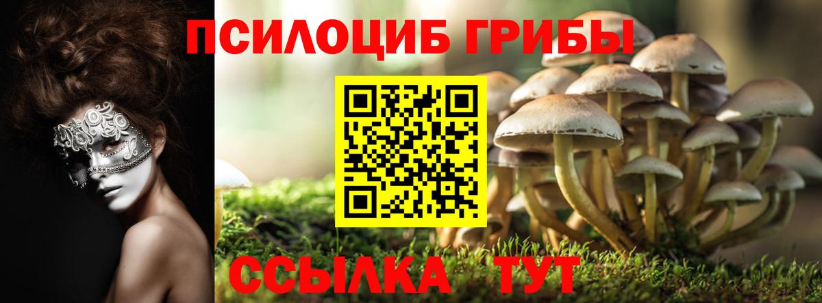 Псилоцибиновые грибы Magic Shrooms Дальнегорск